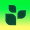 Lifesum